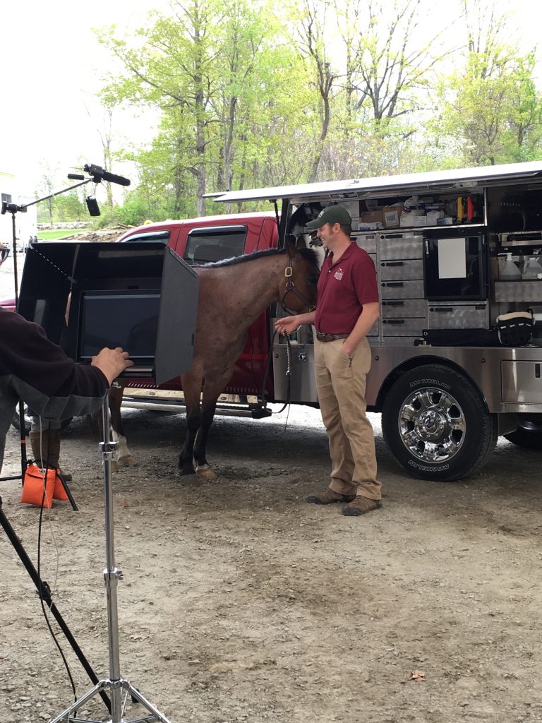 Client Education McGee Equine Veterinary Clinic