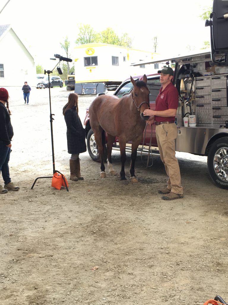 Client Education McGee Equine Veterinary Clinic